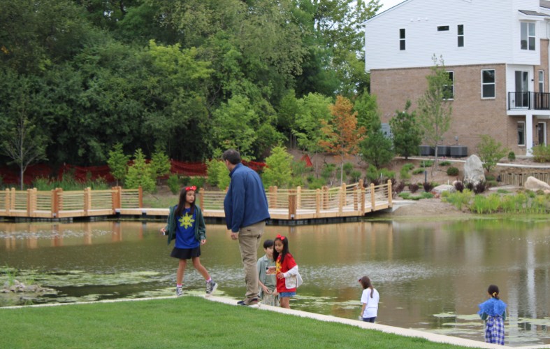 Walk around the Sakura Novi pond
